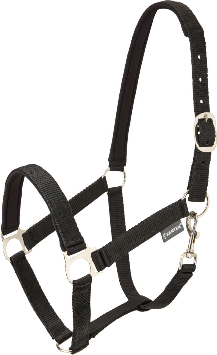 KANTRIE Halfter Meadow